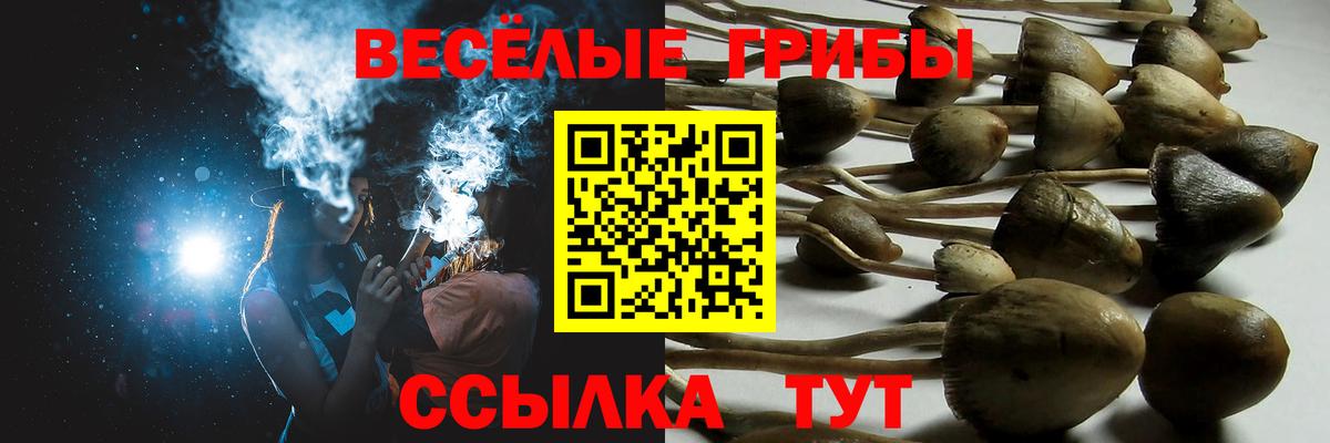 Галлюциногенные грибы GOLDEN TEACHER Холмск